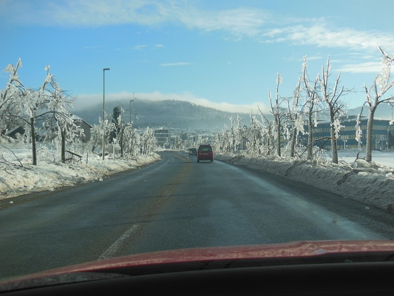 DSCN2118.JPG